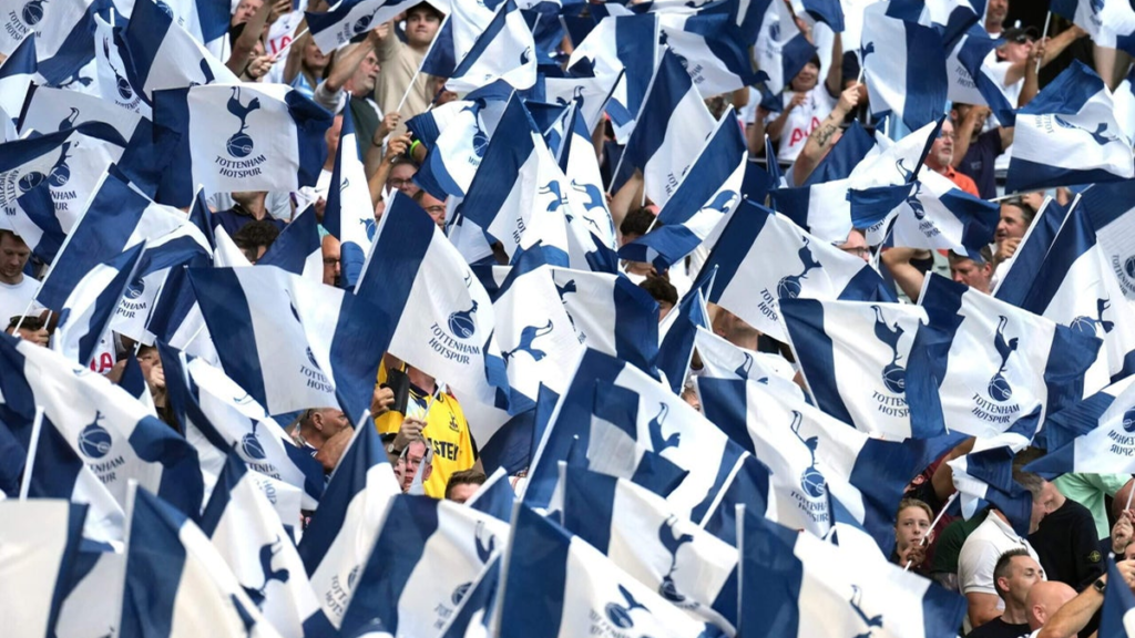 Tottenham supporters reacting emotionally in the stands during a home match